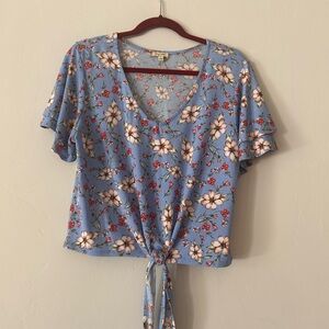 Lily White brand cropped blouse